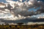 Africa 5 Africa 5