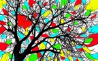Primavera Primavera