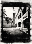 - Cyanotype - looking for black ! ;/) pinhole - Cyanotype - looking for black ! ;/) pinhole