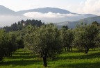 Dopo il temporale, in Toscana Dopo il temporale, in Toscana
