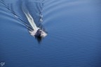Volare sull'acqua Volare sull'acqua