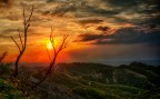 SunSet SunSet