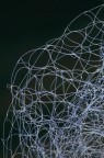 Sottili connessioni Sottili connessioni