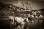 Laghetto di Pietranzoni - Gran Sasso Laghetto di Pietranzoni - Gran Sasso