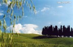 Classico toscano Classico toscano