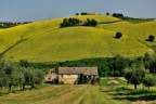 colline colline
