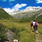 Into the Wild Into the Wild
