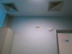 IMG_1939 IMG_1939