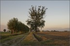 NEF 2872(Sul far della sera)