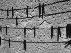 Particolari note Particolari note