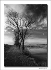 Ascoltare il Silenzio Ascoltare il Silenzio
