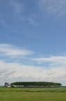 Cielo Cielo