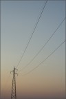 NEF 2965 NEF 2965