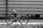 Bici Bici