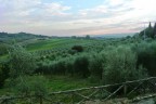 PAESAGGIO SENESE PAESAGGIO SENESE