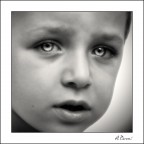 Canon EOS 10D 
Canon 70-200/f4L @145mm 
1/1500 sec. 
f/4.0 
ISO 400