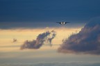 Landing Landing