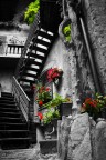 ... cascinale ... cascinale