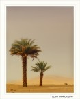 Ricordando...il deserto Ricordando...il deserto