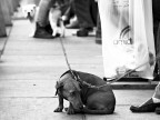 Dimostrazione d'affetto... Dimostrazione d'affetto...