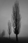 ... nella nebbia ... nella nebbia