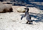Largoooo!!! Largoooo!!!