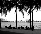 Miami sunset Miami sunset