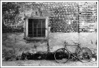 Bici in cascina Bici in cascina