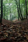 Autunno 3 Autunno 3