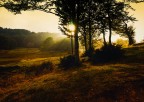 Sunbeams Sunbeams