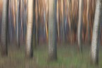 Boschina Blur Boschina Blur