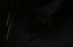 black on black black on black