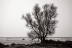 Il mare in inverno Il mare in inverno