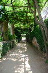 Passeggiata a Villa Cimbrone Passeggiata a Villa Cimbrone