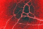 blasfemia blasfemia