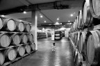 Lost in Wine Lost in Wine