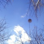 Si accettano critiche ...