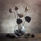 Forgotten