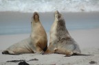 Ginnastica mattutina Ginnastica mattutina