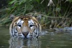 Bellezza al bagno Bellezza al bagno
