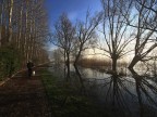 Bagliori d'Autunno Bagliori d'Autunno