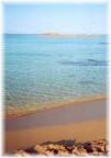 puglia vera puglia vera