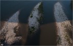 gli artigli del fiume gli artigli del fiume