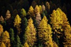 I colori dell'autunno
