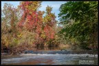 Il Lambro Il Lambro
