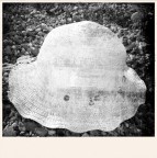 cappellino solitario