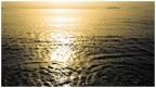 Oro liquido