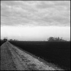 Novembre 1980