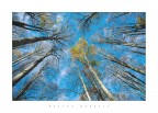 Con lo sguardo verso il cielo Con lo sguardo verso il cielo