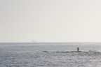 Pesca....? Pesca....?